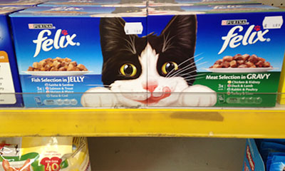 Felix Cat Food