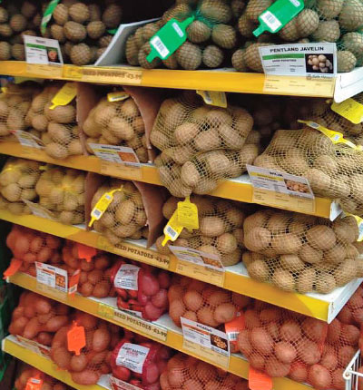 Seed Potatoes, Onions Sets, Shallots and Garlic