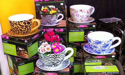 Tea Cup Planters